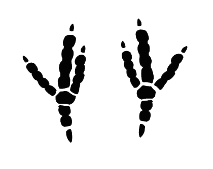 Yura pigeon | Misha Kush | Shitty Art